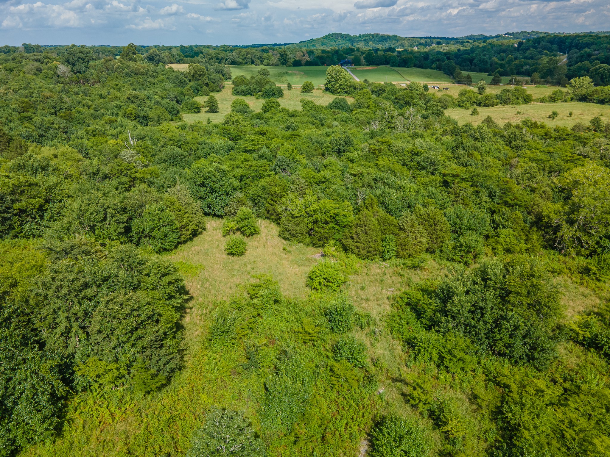 Undisclosed Address Columbia, TN 38401 - Photo 18 of 19 a view of a lush green field
