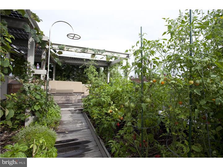 818 North 27th Street Philadelphia, PA 19130 - Photo 20 of 23 Deck