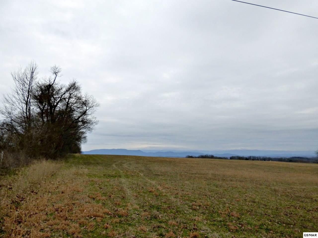4 Valley Home Road Dandridge, TN 37725 - Photo 13 of 30 Gallery Image 13