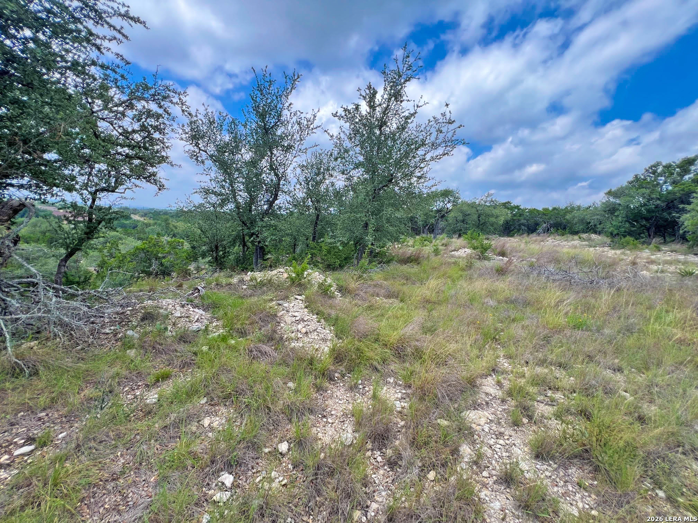 119 Champion Way Spring Branch, TX 78070 - Photo 17 of 22