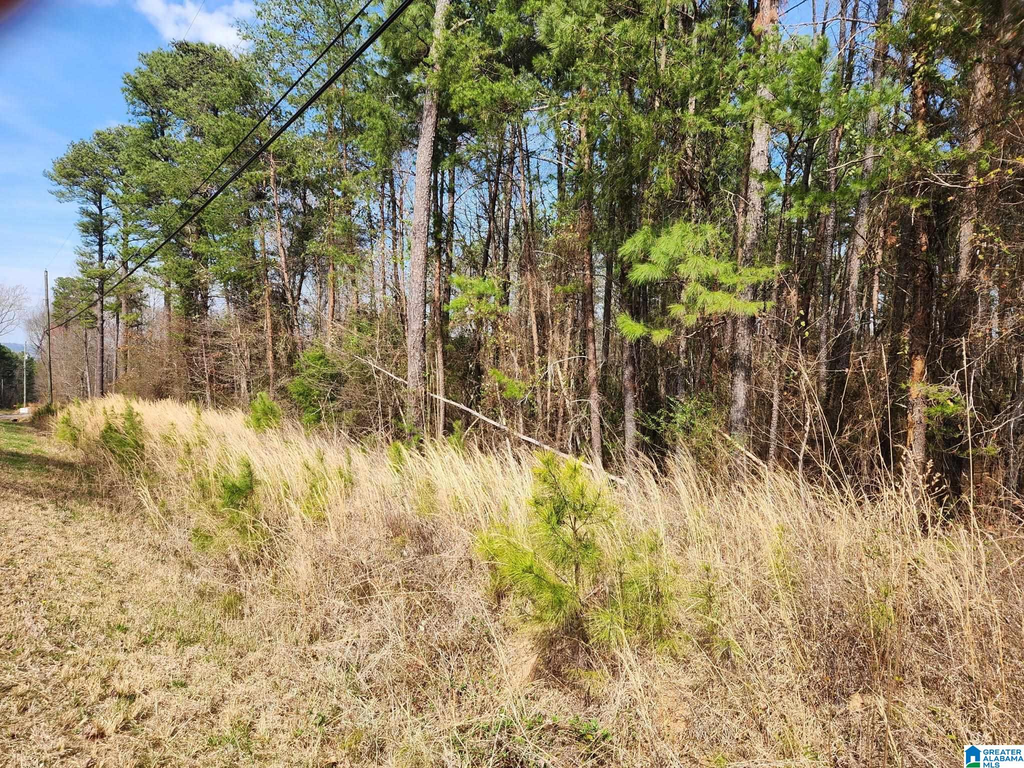0 Red Hill School Road, Unit 3 6 ACRES Hayden, AL 35079 - Photo 2 of 3