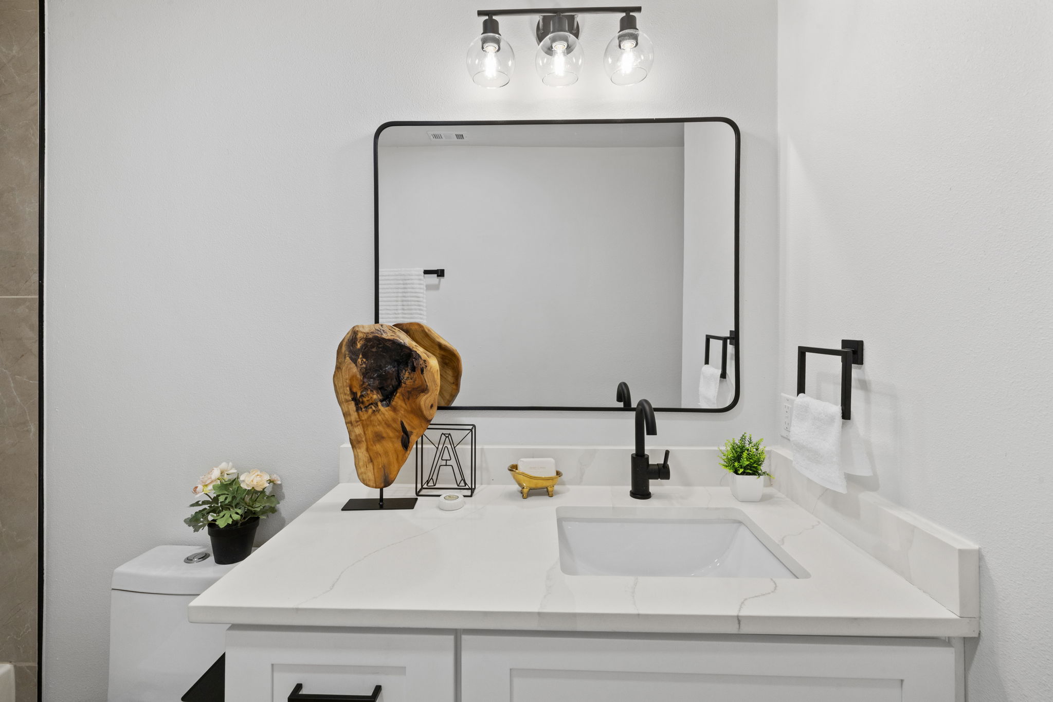 3722 Blue Cat Way Round Rock, TX 78665 - Photo 38 of 40 a bathroom with a sink and a mirror