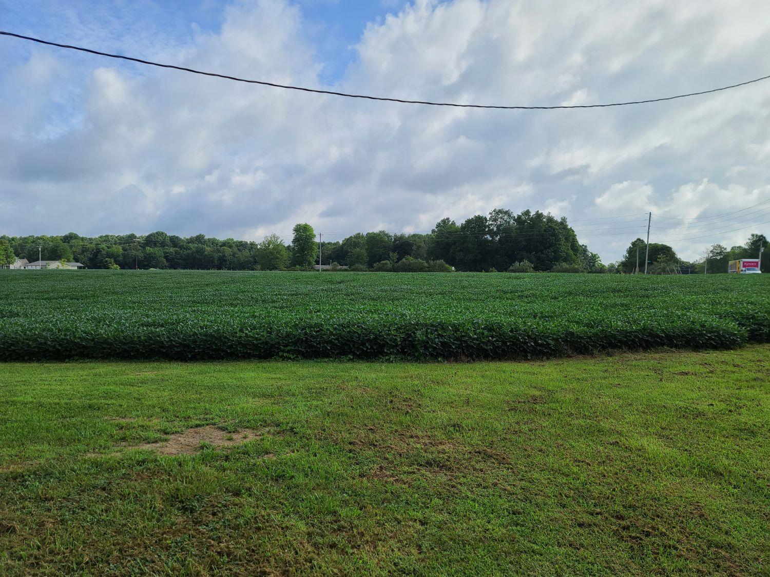 12998 Asche Road Sunman, IN 47041 - Photo 6 of 13