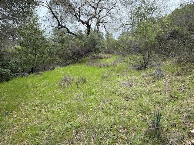 11 Little Uvas Road Morgan Hill, CA 95037 - Photo 11 of 40