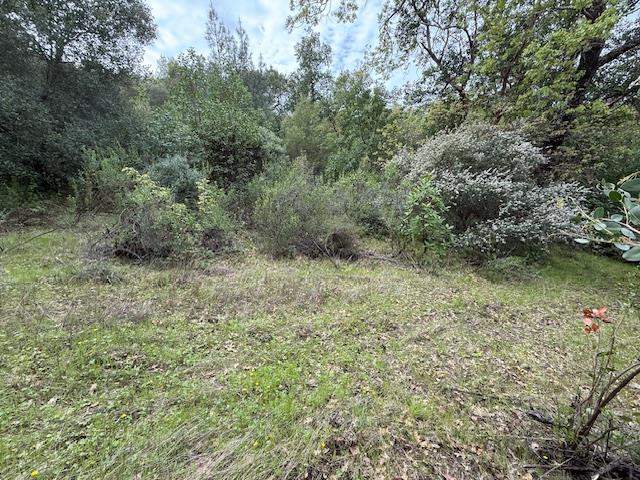 11 Little Uvas Road Morgan Hill, CA 95037 - Photo 13 of 40
