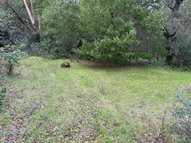 11 Little Uvas Road Morgan Hill, CA 95037 - Photo 14 of 40