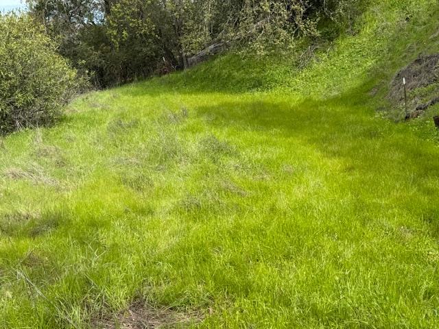 11 Little Uvas Road Morgan Hill, CA 95037 - Photo 15 of 40