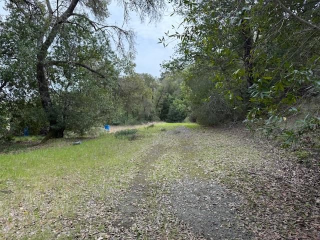 11 Little Uvas Road Morgan Hill, CA 95037 - Photo 16 of 40