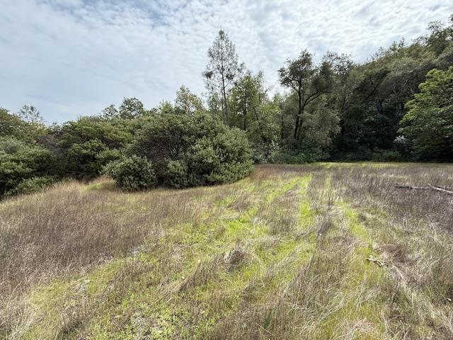 11 Little Uvas Road Morgan Hill, CA 95037 - Photo 18 of 40