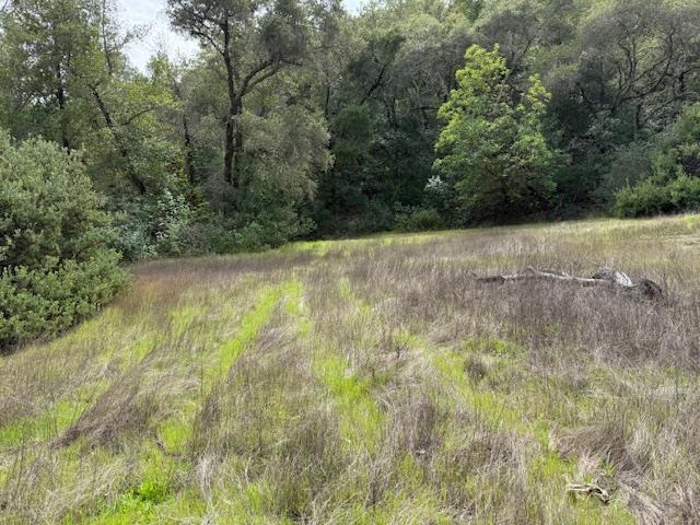 11 Little Uvas Road Morgan Hill, CA 95037 - Photo 19 of 40