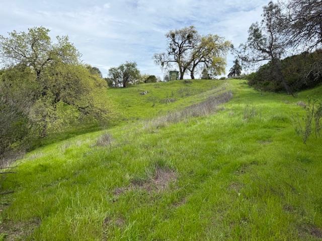 11 Little Uvas Road Morgan Hill, CA 95037 - Photo 20 of 40