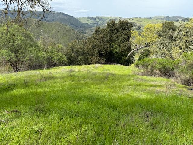 11 Little Uvas Road Morgan Hill, CA 95037 - Photo 2 of 40