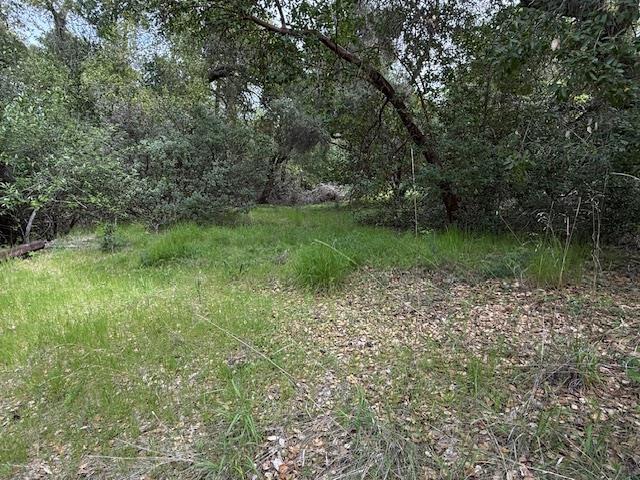 11 Little Uvas Road Morgan Hill, CA 95037 - Photo 23 of 40