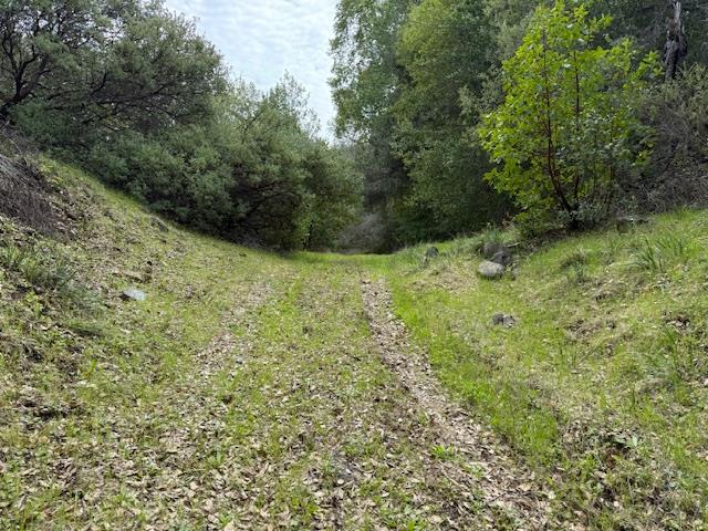 11 Little Uvas Road Morgan Hill, CA 95037 - Photo 24 of 40