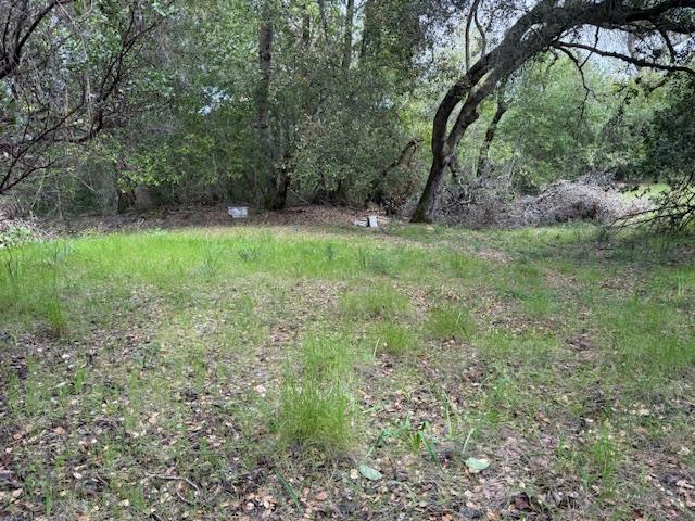 11 Little Uvas Road Morgan Hill, CA 95037 - Photo 25 of 40