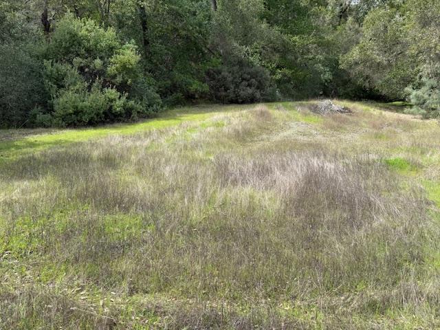 11 Little Uvas Road Morgan Hill, CA 95037 - Photo 26 of 40