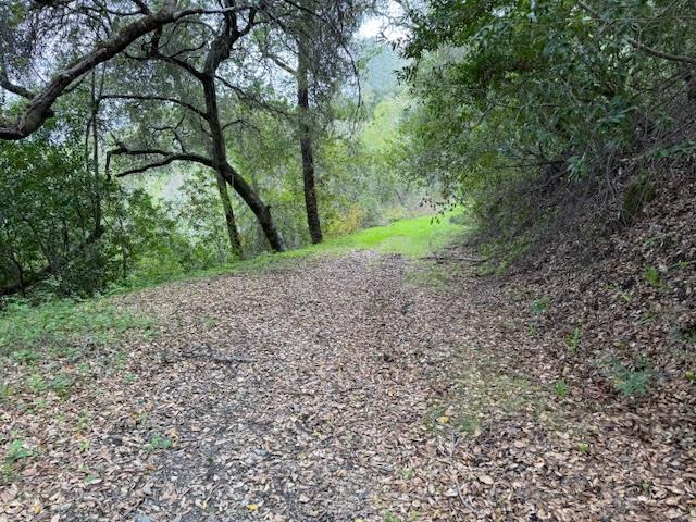 11 Little Uvas Road Morgan Hill, CA 95037 - Photo 29 of 40