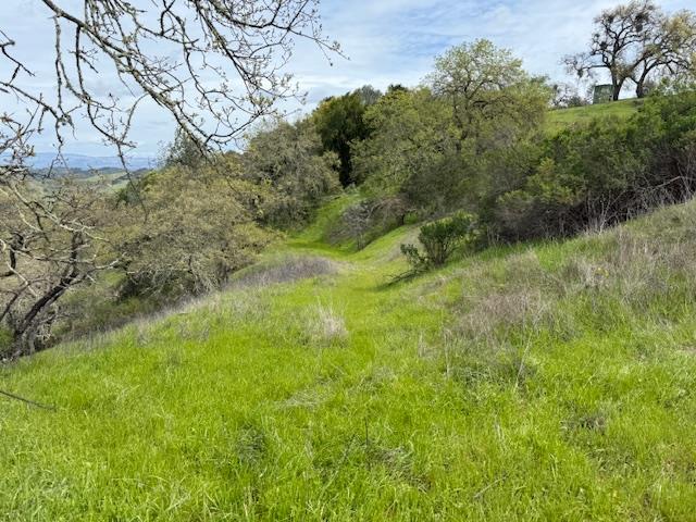 11 Little Uvas Road Morgan Hill, CA 95037 - Photo 32 of 40
