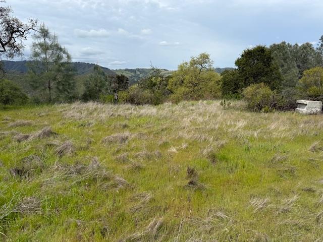 11 Little Uvas Road Morgan Hill, CA 95037 - Photo 37 of 40