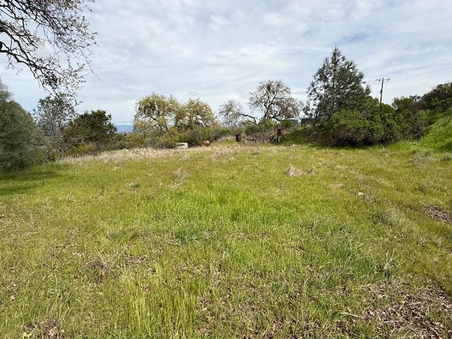 11 Little Uvas Road Morgan Hill, CA 95037 - Photo 40 of 40