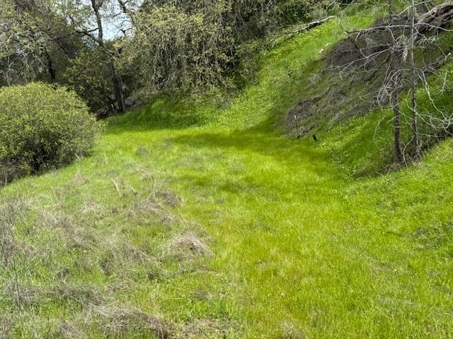 11 Little Uvas Road Morgan Hill, CA 95037 - Photo 4 of 40