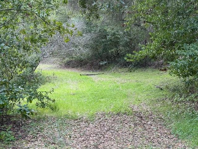 11 Little Uvas Road Morgan Hill, CA 95037 - Photo 6 of 40