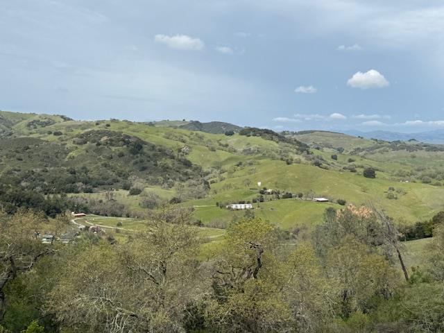 11 Little Uvas Road Morgan Hill, CA 95037 - Photo 7 of 40