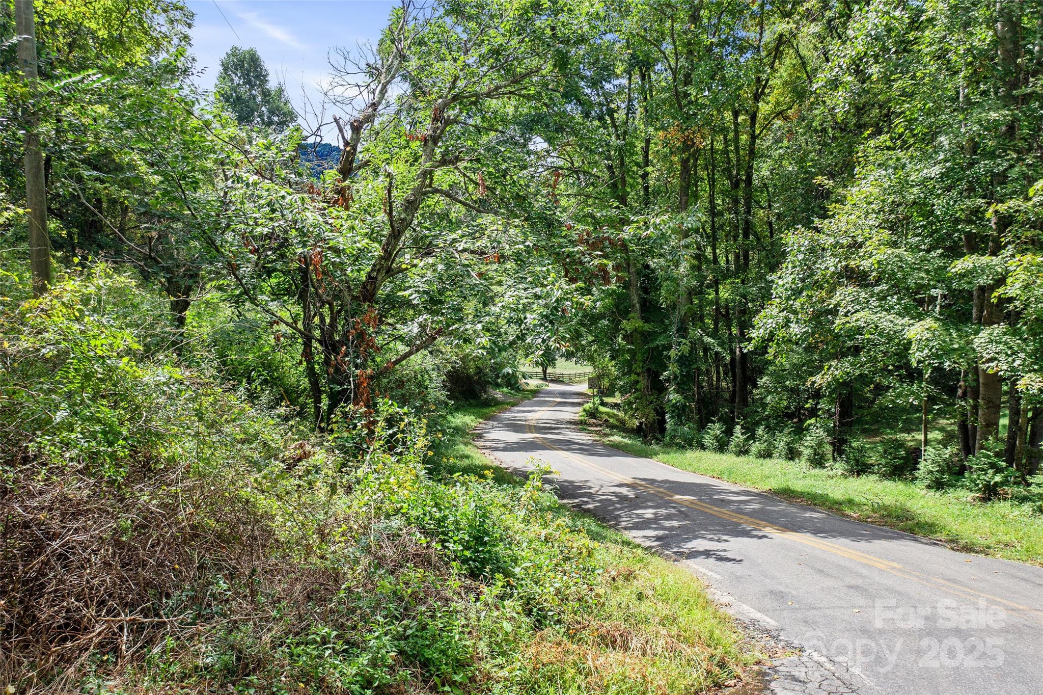 99999 Moody Cove Road Weaverville, NC 28787 - Photo 11 of 20 a view of a yard with plants and trees