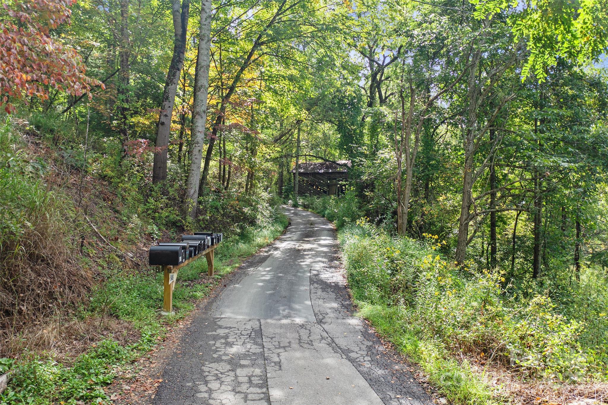 99999 Moody Cove Road Weaverville, NC 28787 - Photo 12 of 20 a view of a back yard