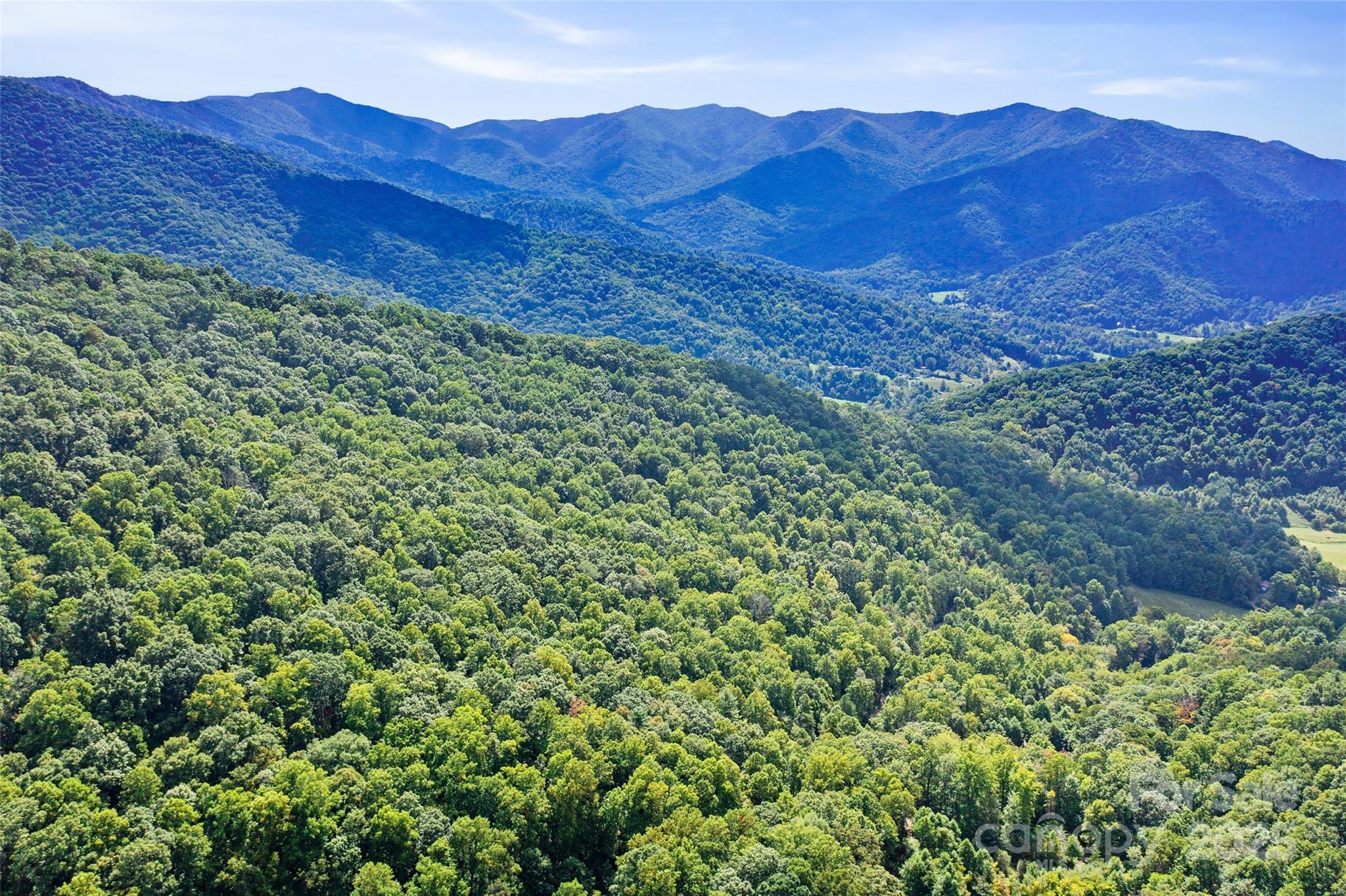 99999 Moody Cove Road Weaverville, NC 28787 - Photo 13 of 20 a view of a lush green hillside and a houses