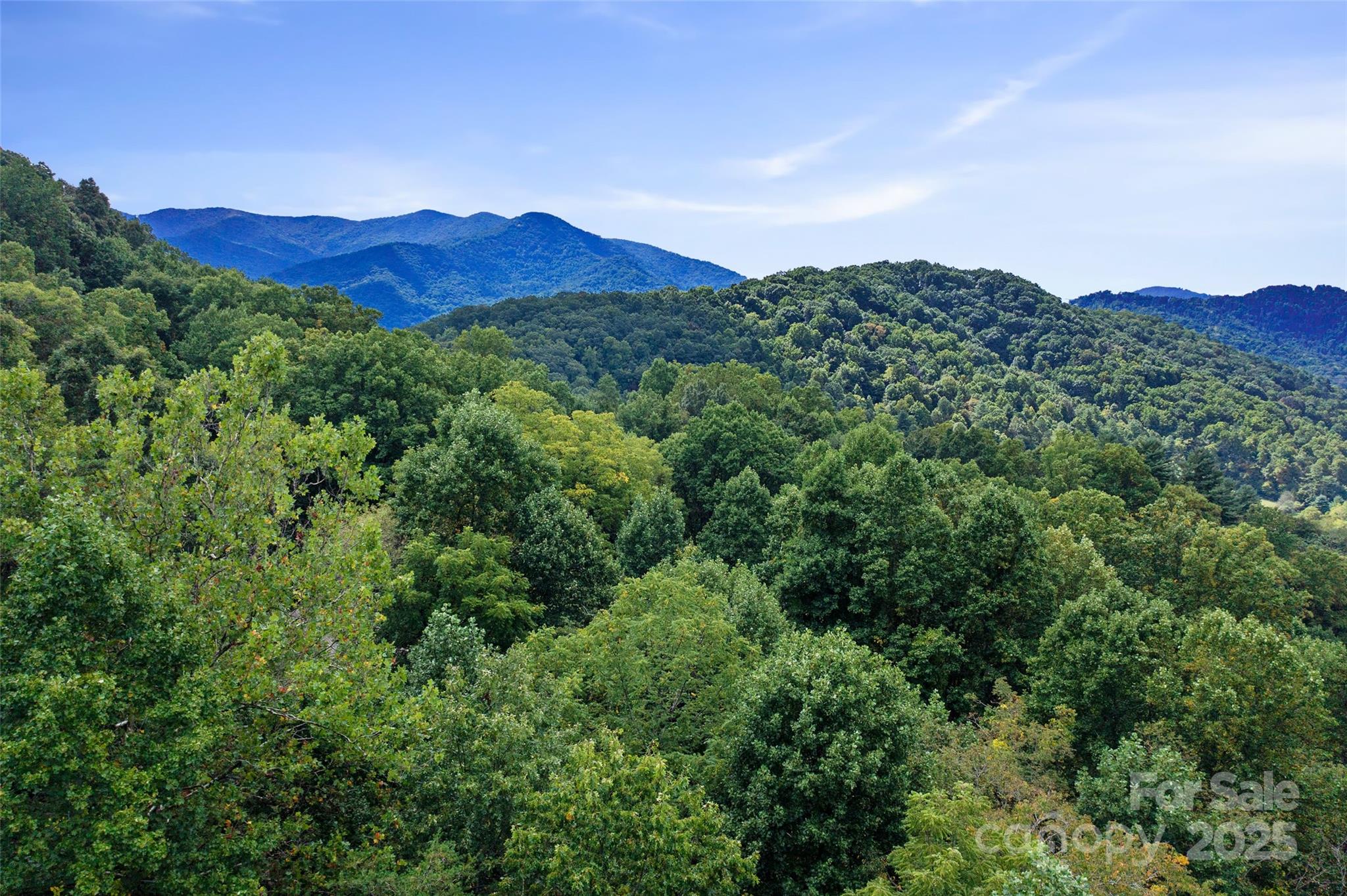 99999 Moody Cove Road Weaverville, NC 28787 - Photo 14 of 20 a view of a mountain range with lush green forest