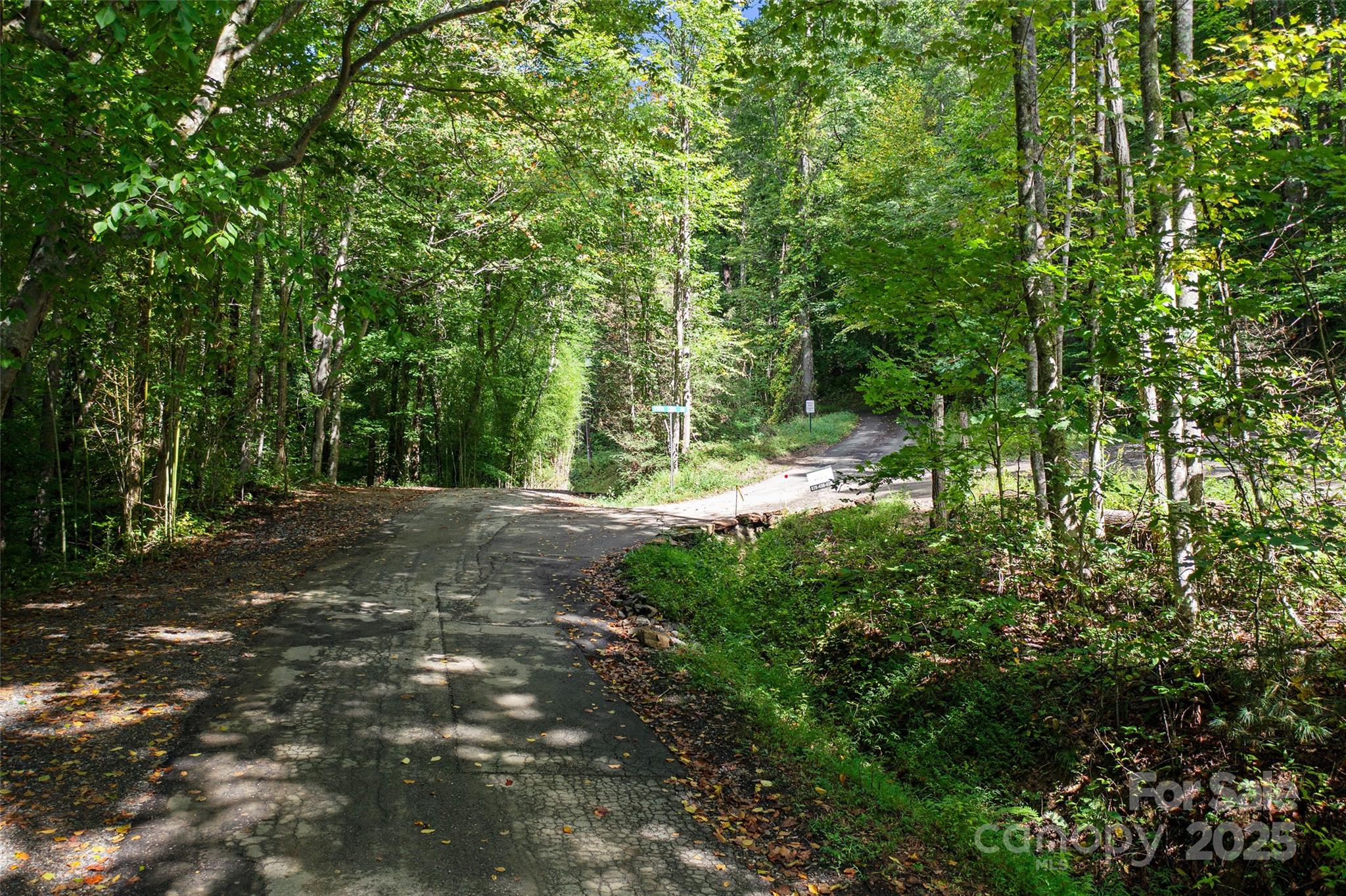 99999 Moody Cove Road Weaverville, NC 28787 - Photo 15 of 20 a view of outdoor space and yard