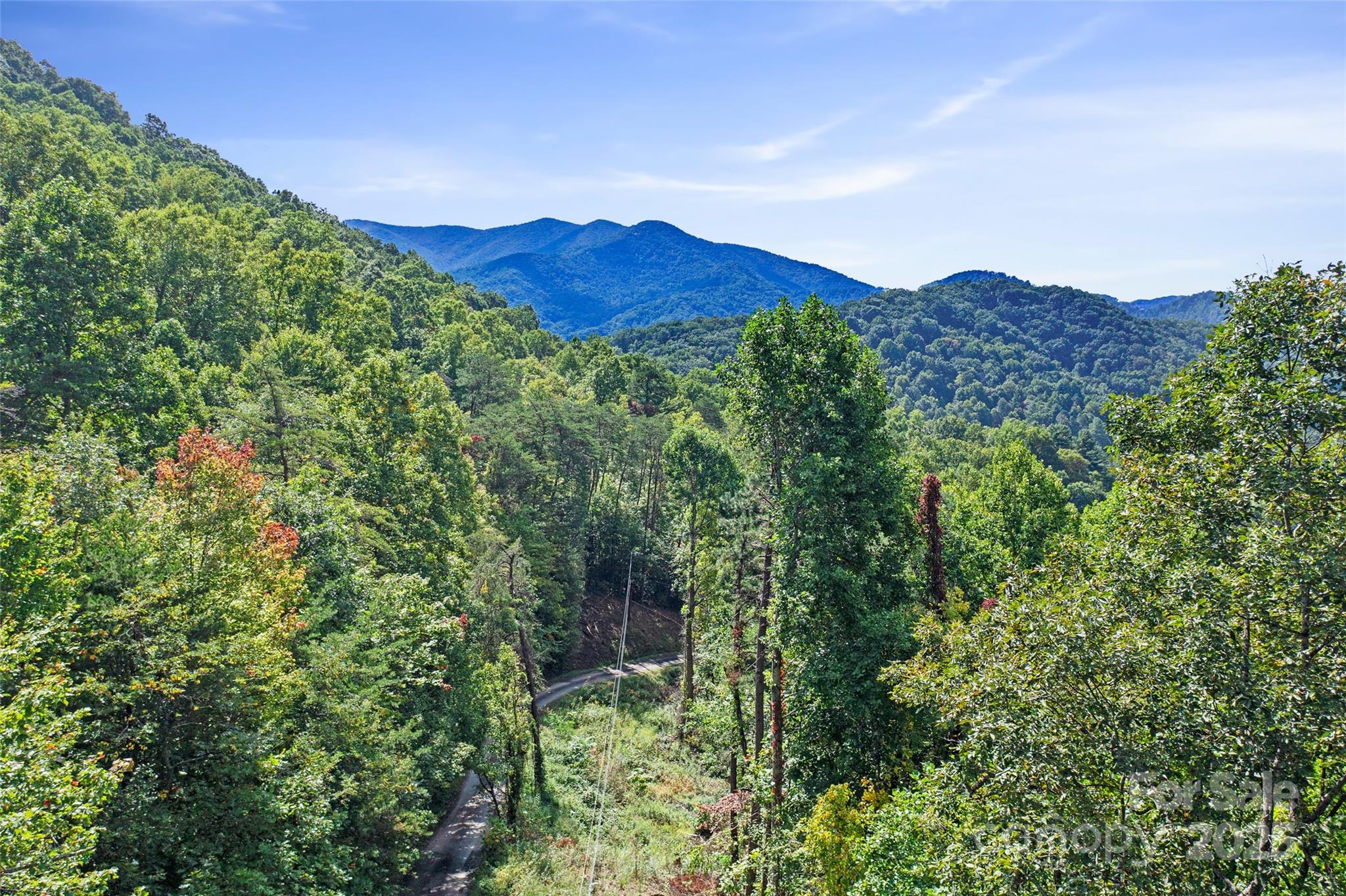 99999 Moody Cove Road Weaverville, NC 28787 - Photo 17 of 20 a view of a lush green forest with mountains in the background