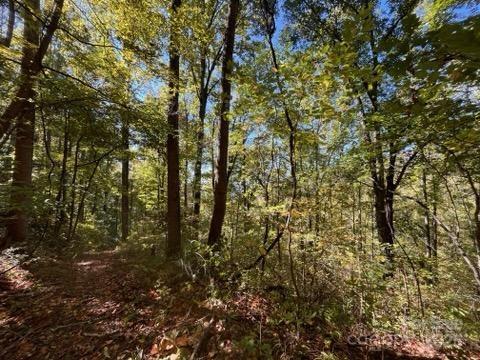 99999 Moody Cove Road Weaverville, NC 28787 - Photo 2 of 20 a view of a yard with a tree