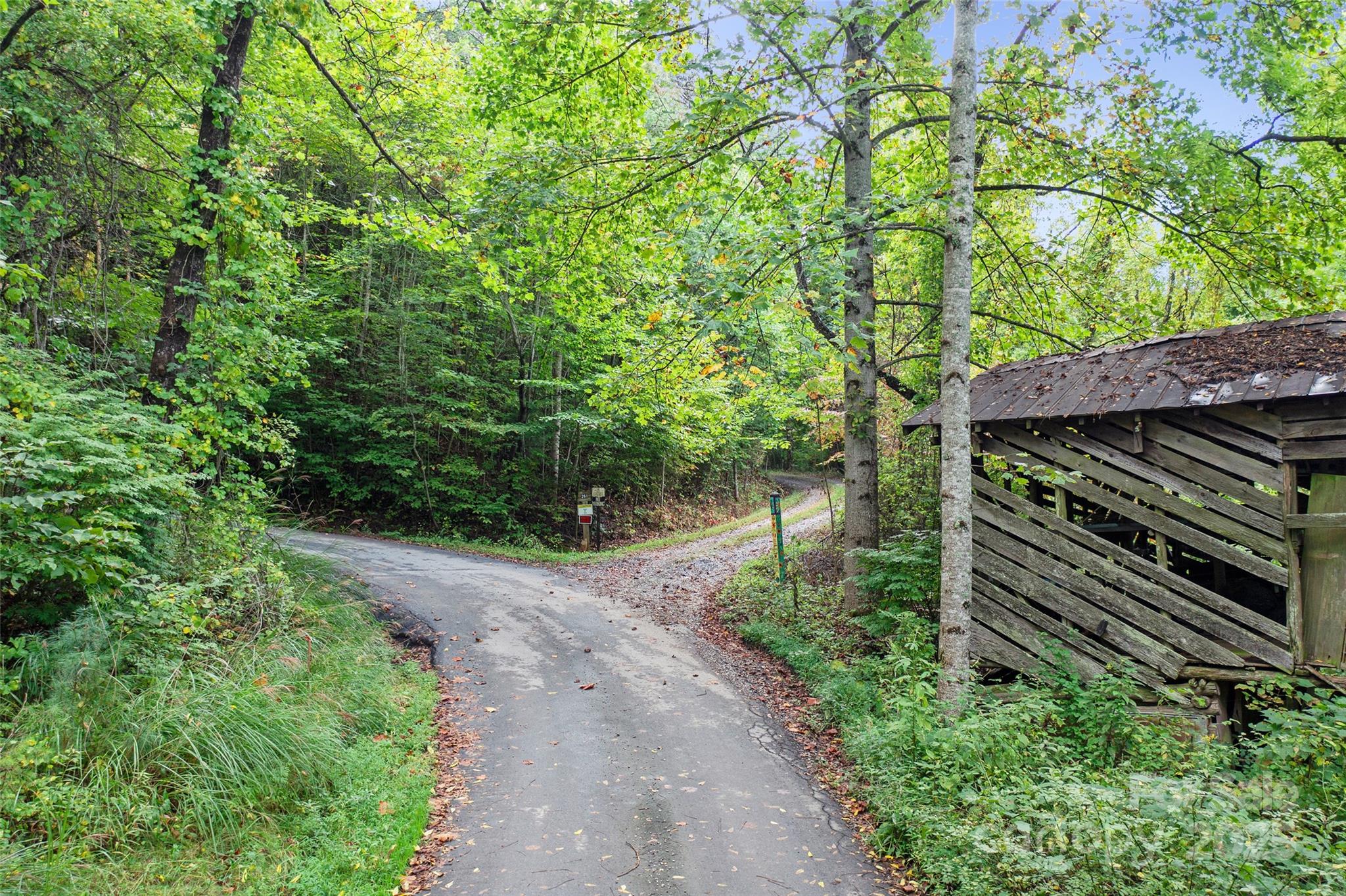 99999 Moody Cove Road Weaverville, NC 28787 - Photo 5 of 20 a view of a backyard