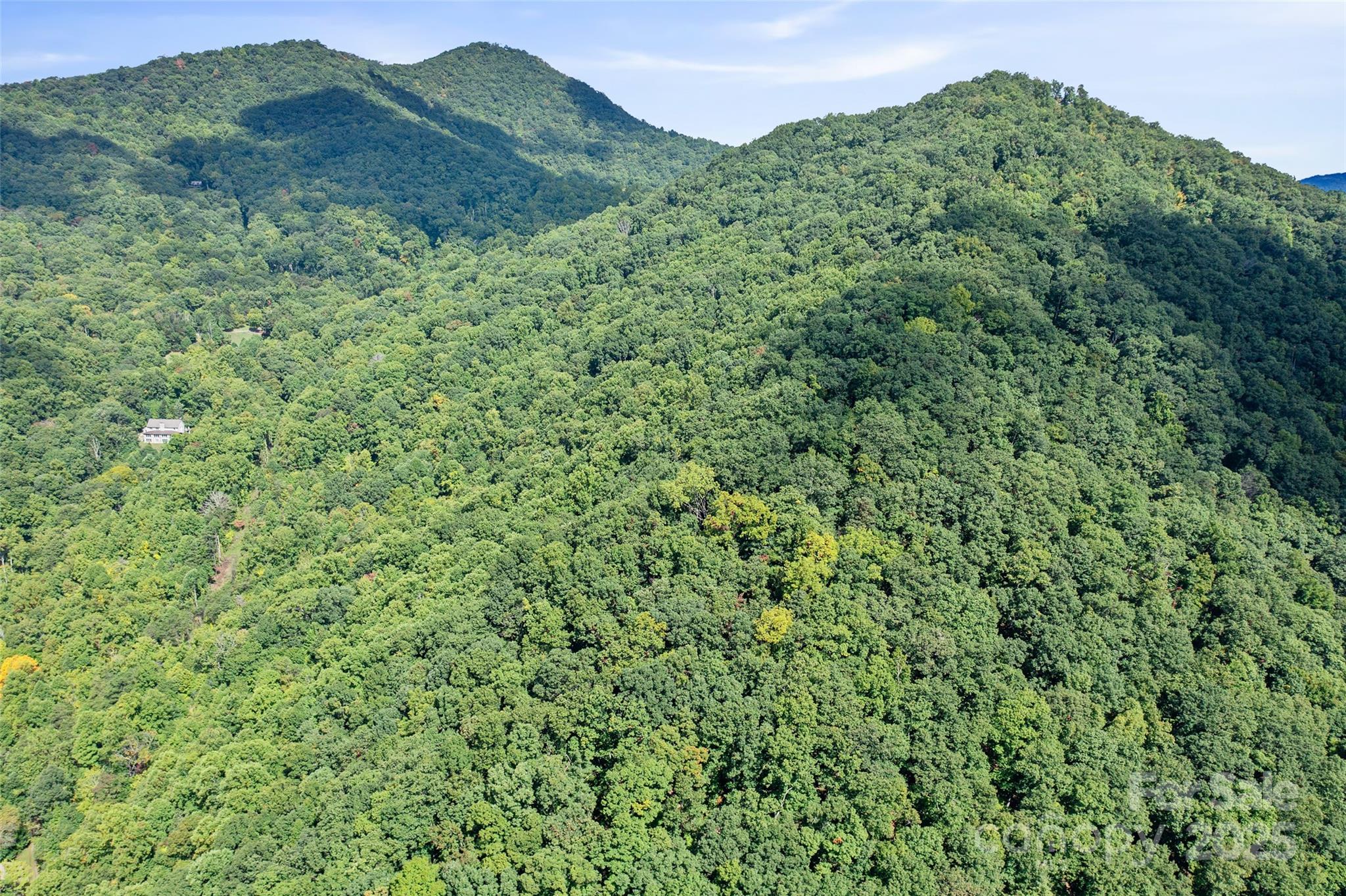 99999 Moody Cove Road Weaverville, NC 28787 - Photo 7 of 20 a view of a lush green forest with a mountain