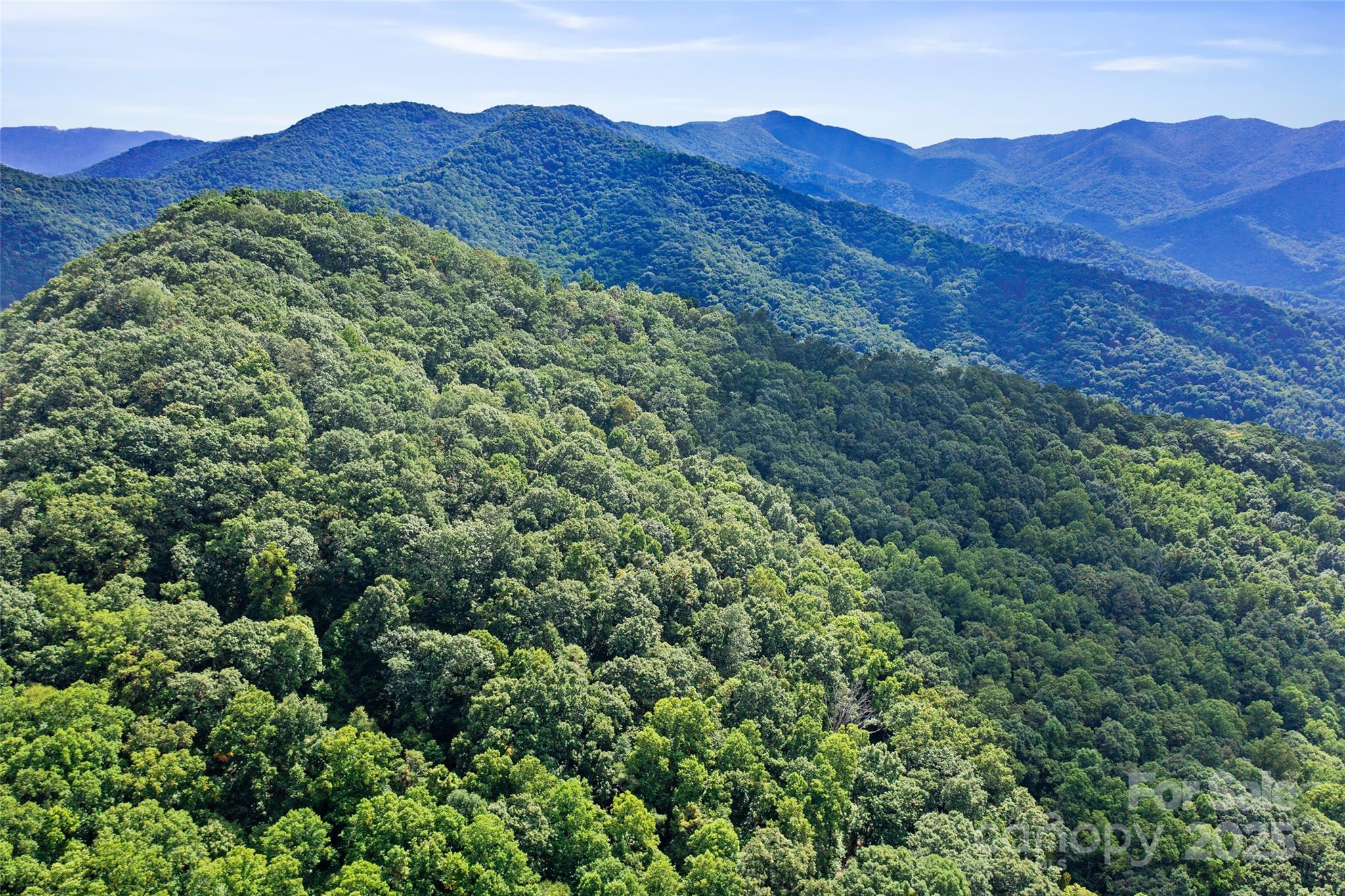 99999 Moody Cove Road Weaverville, NC 28787 - Photo 8 of 20 a view of a lush green hillside and a houses
