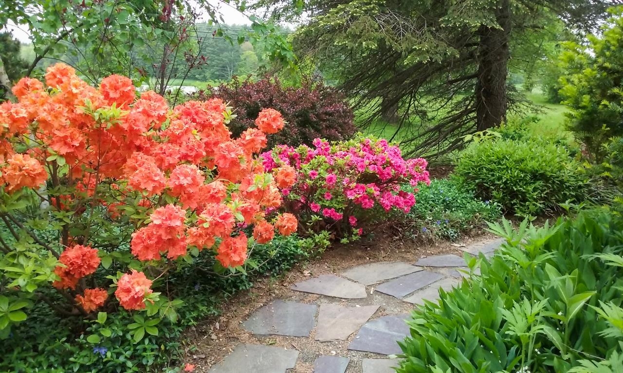 1 Jane Appleton Way Hampton, NH 03842 - Photo 33 of 40