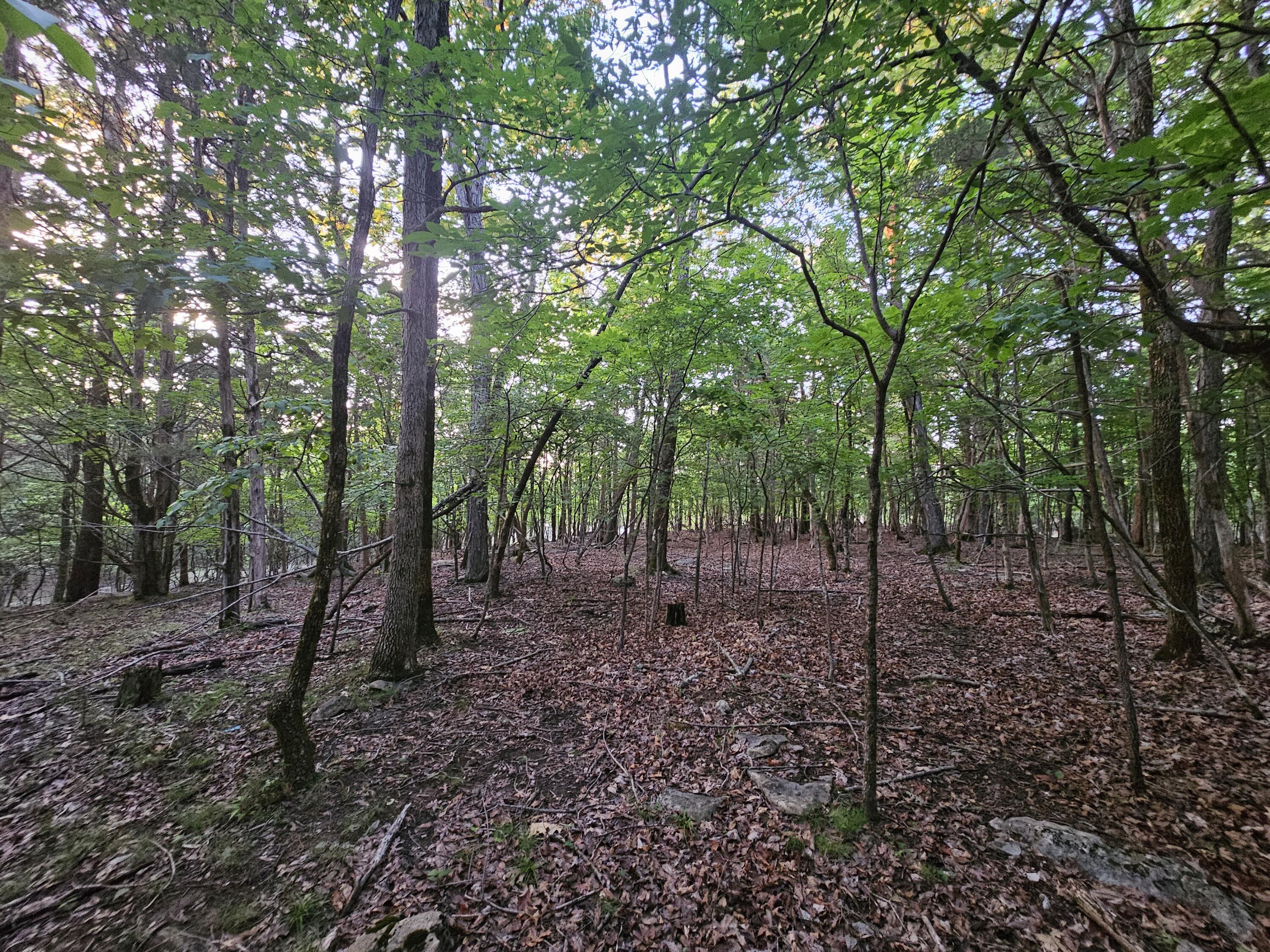 3 Sewanee Summit Road, Unit 2 AND 3 Decherd, TN 37324 - Photo 5 of 13 1000023510