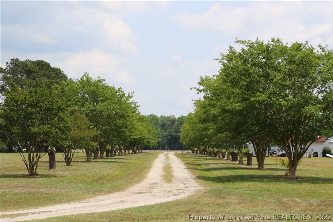 2099 Mercer Mill Road Lumberton, NC 28358 - Photo 5 of 49 Gallery Image 5