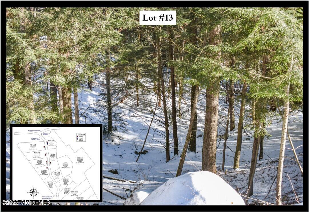 ADk Woods Cover Framed #13