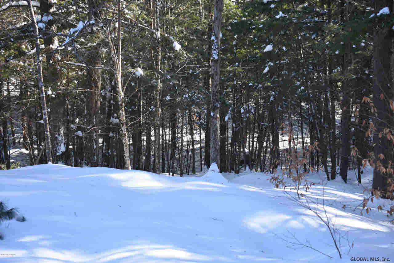 13 Carriage Knolls Road Chester, NY 12817 - Photo 11 of 13 Photo 11