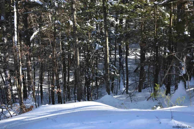 $37,500 | 13 Carriage Knolls Road, Chester, NY 12817