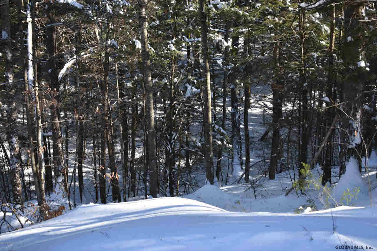 13 Carriage Knolls Road Chester, NY 12817 - Photo 12 of 13 Photo 12