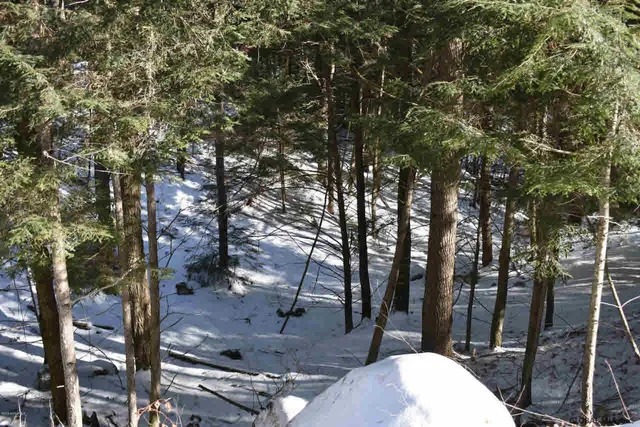 $37,500 | 13 Carriage Knolls Road, Chester, NY 12817