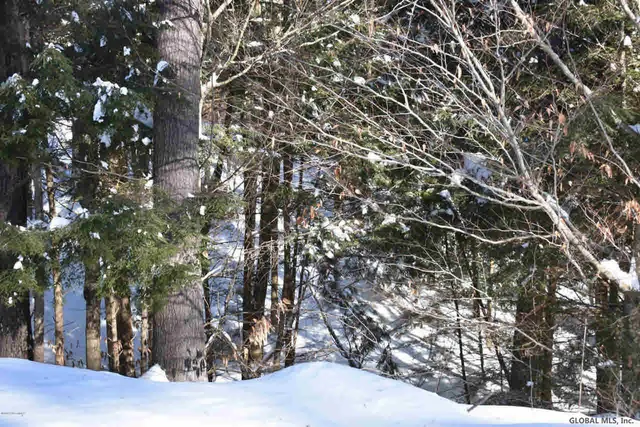 $37,500 | 13 Carriage Knolls Road, Chester, NY 12817