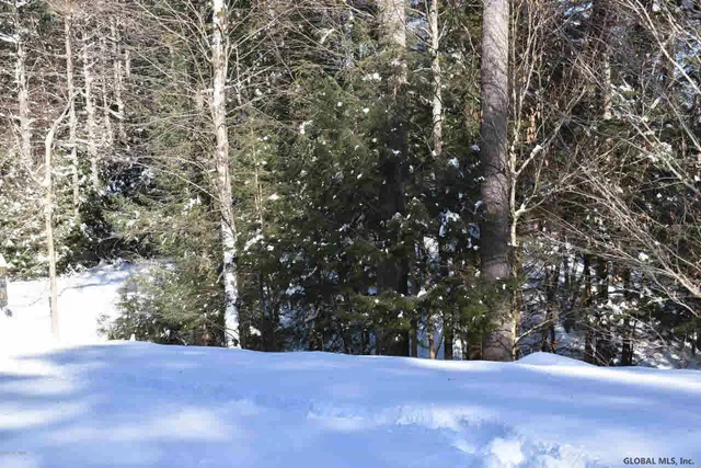 $37,500 | 13 Carriage Knolls Road, Chester, NY 12817