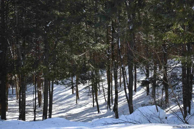 $37,500 | 13 Carriage Knolls Road, Chester, NY 12817