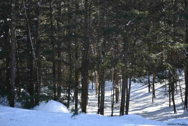 $37,500 | 13 Carriage Knolls Road, Chester, NY 12817