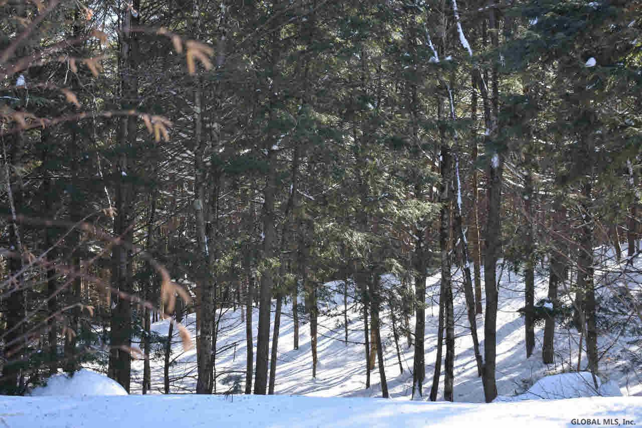 13 Carriage Knolls Road Chester, NY 12817 - Photo 9 of 13 Photo 9